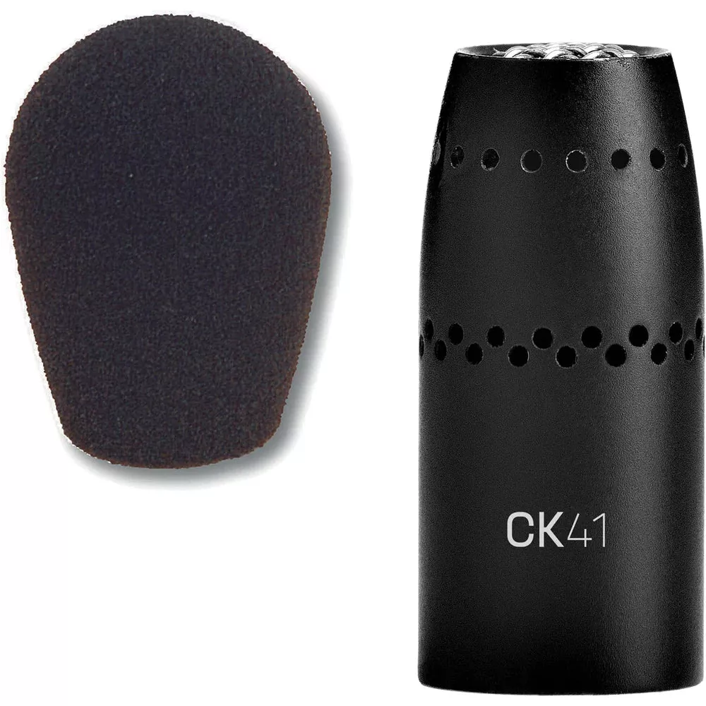 AKG CK-41 - AKG CK41 Cardioid Capsule With Windscreen